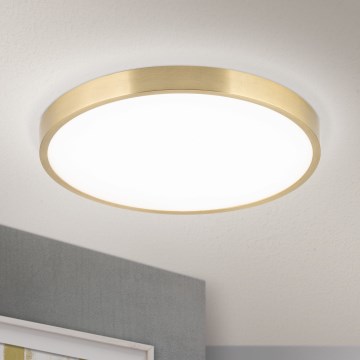 LED Plafon BULLY LED/28W/230V śr. 28 cm zl.