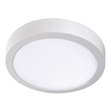 LED Plafon CARSA LED/24W/230V 4000K biały