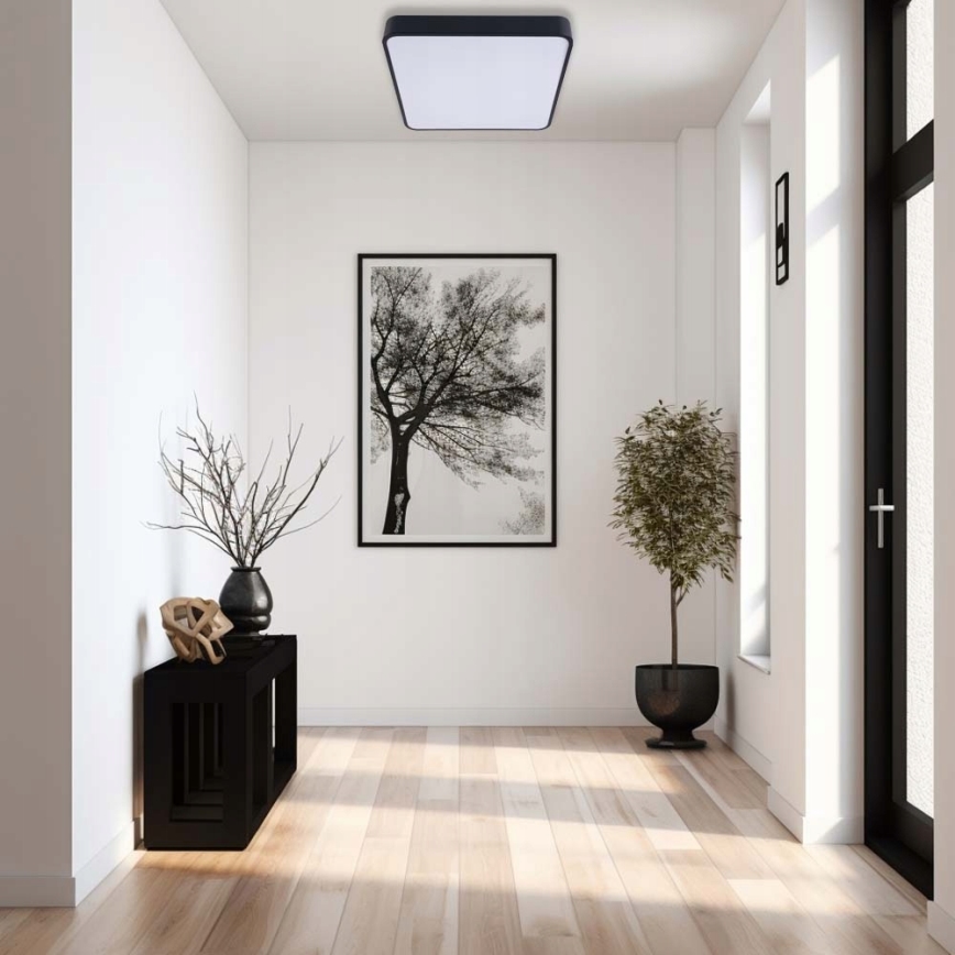 LED Plafon FELIZ LED/50W/230V 4000K 40x60 cm czarne