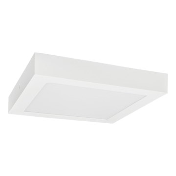 LED Plafon FENIX LED/12W/230V 3800K 17 cm śnieg biały