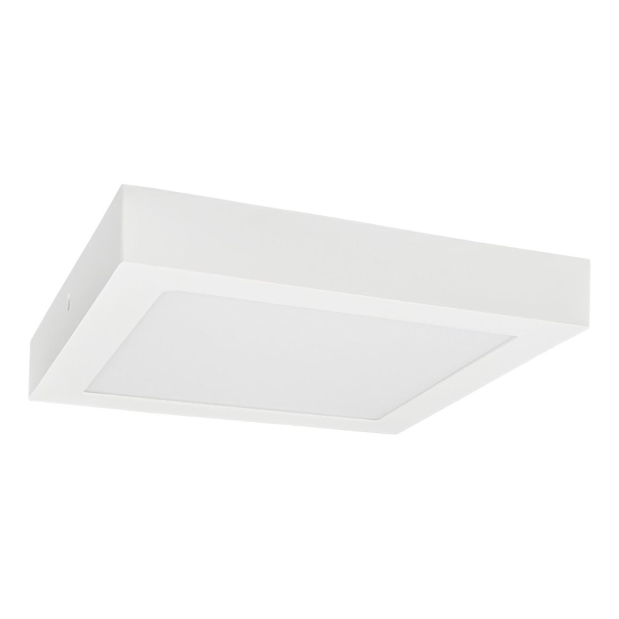 LED Plafon FENIX LED/18W/230V 3800K 22,5 cm śnieg biały