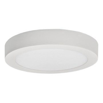 LED Plafon FENIX LED/24W/230V 2800K śr. 29,8 cm