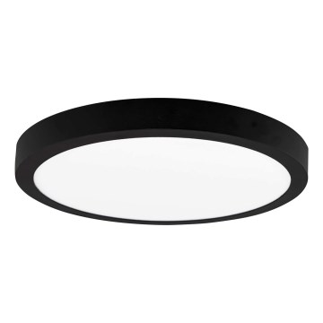 LED Plafon FENIX LED/24W/230V 3800K