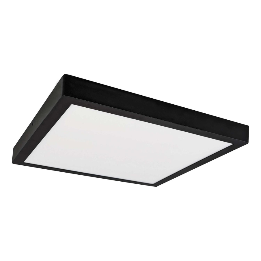 LED Plafon FENIX LED/24W/230V 3800K