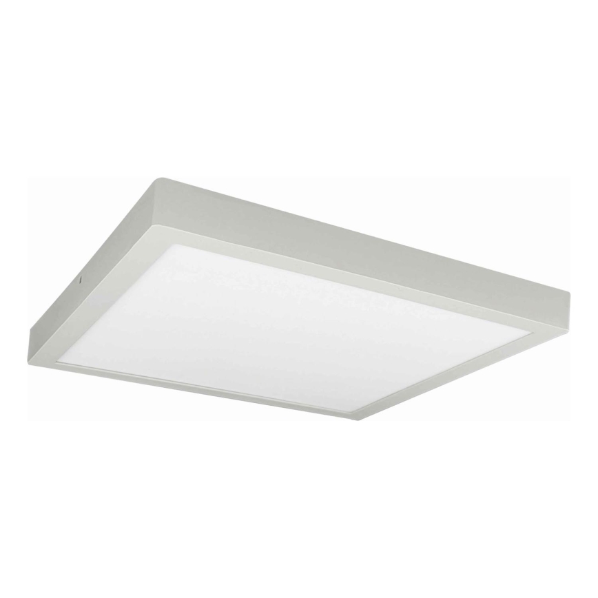 LED Plafon FENIX LED/32W/230V 3800K 40 cm biały