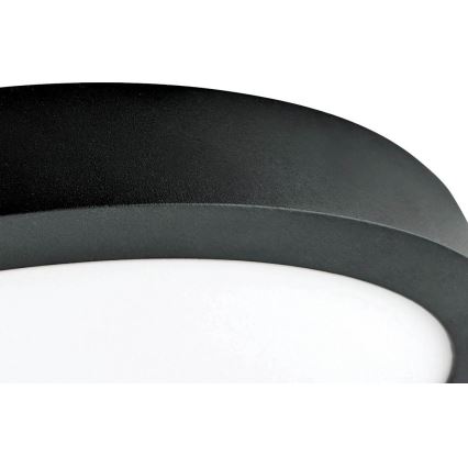 LED Plafon FENIX LED/32W/230V 3800K