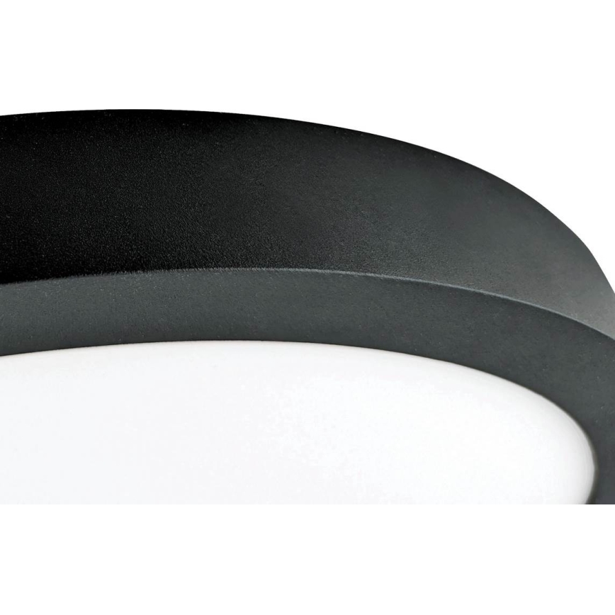 LED Plafon FENIX LED/32W/230V 3800K