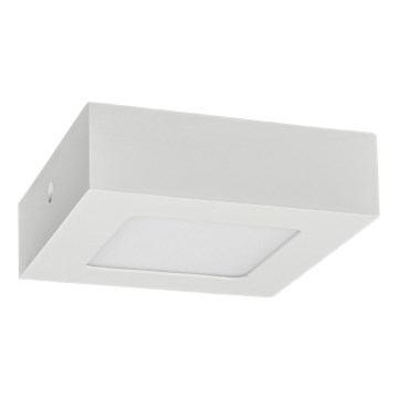 LED Plafon FENIX LED/6W/230V 2800K 12 cm