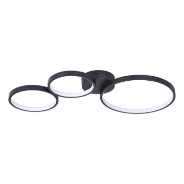 LED Plafon FLAMENCO LED/33W/230V 4000K czarny