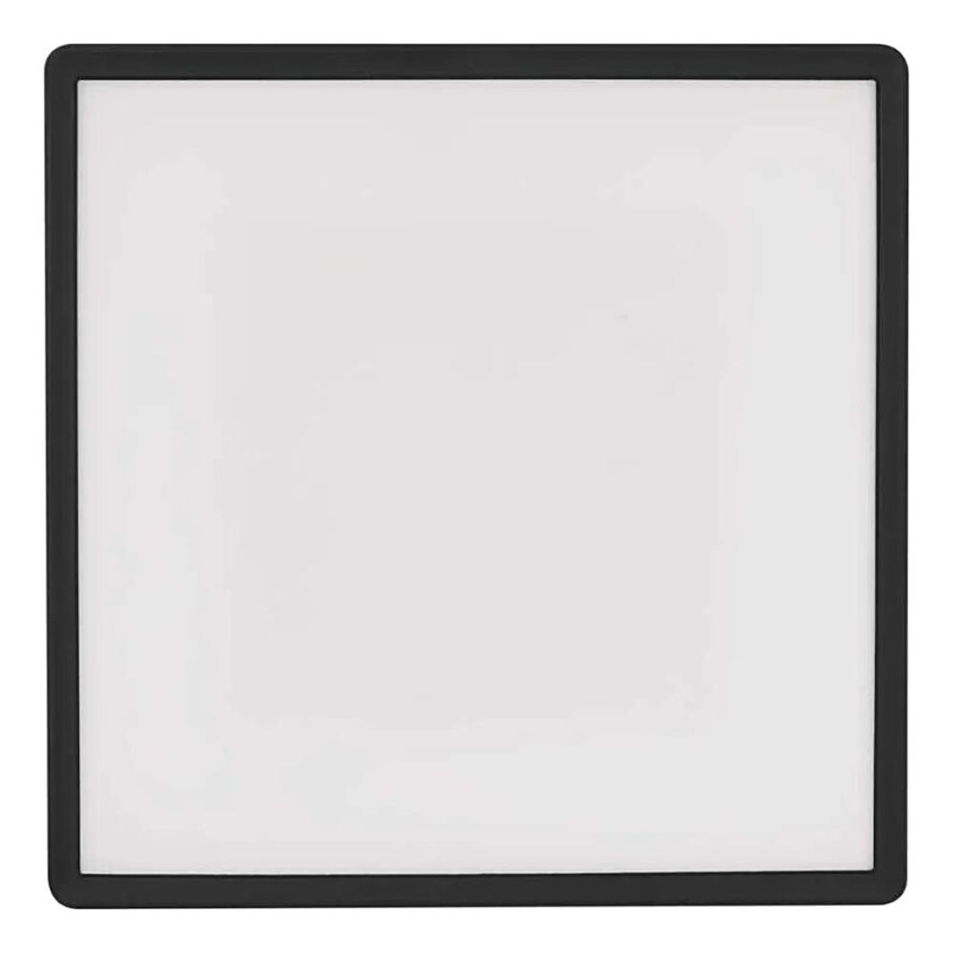 LED Plafon FLORI LED/22W/230V 4000K czarny 42x42 cm
