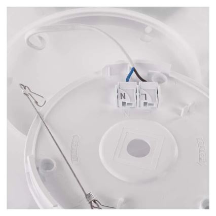 LED Plafon FLORI LED/22W/230V 4000K czarny 42x42 cm