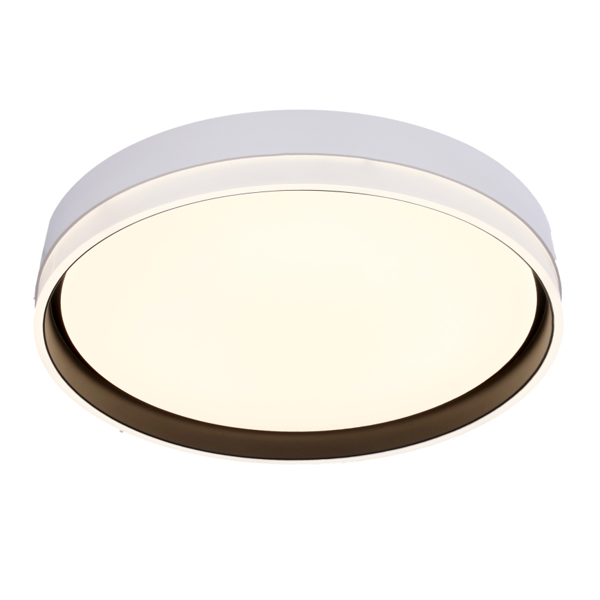 LED Plafon FLORIDA LED/24W/230V białe