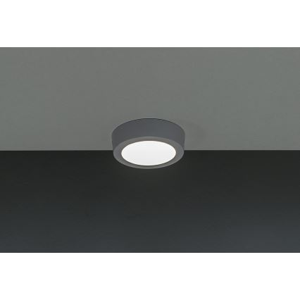 LED Plafon GERRIT LED/6W/230V 4000K