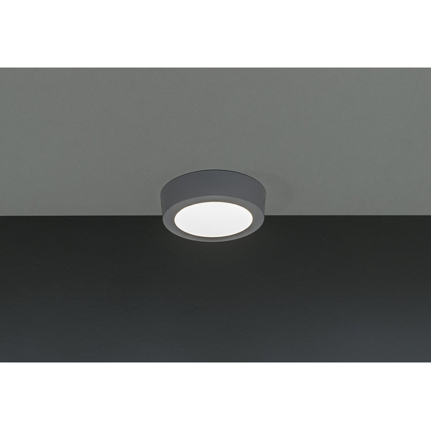 LED Plafon GERRIT LED/6W/230V 4000K