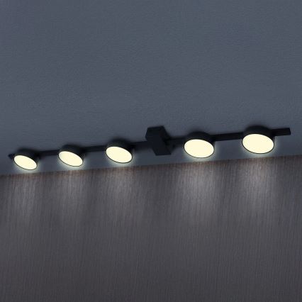 LED Plafon JOY 5xGX53/6W/230V czarny