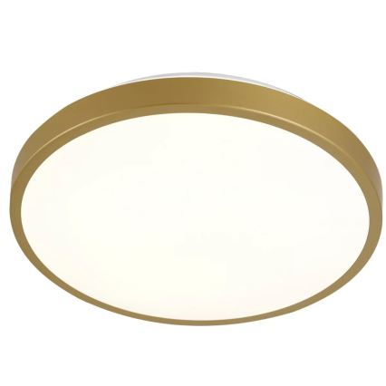 LED Plafon KERN LED/15W/230V d. 29 cm