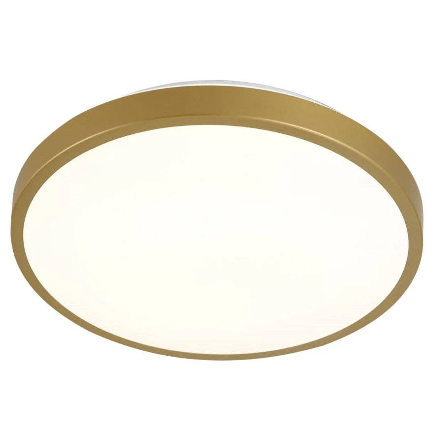 LED Plafon KERN LED/15W/230V d. 29 cm