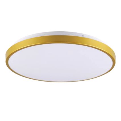 LED Plafon KERN LED/15W/230V d. 29 cm
