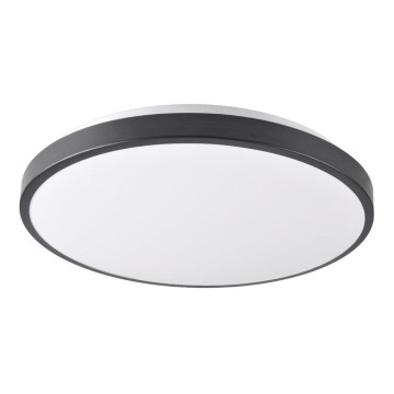 LED Plafon KERN LED/24W/230V czarny