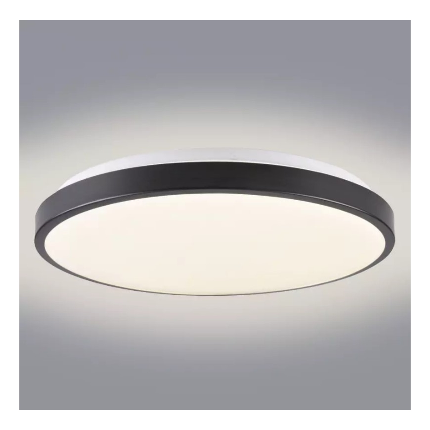LED Plafon KERN LED/24W/230V czarny