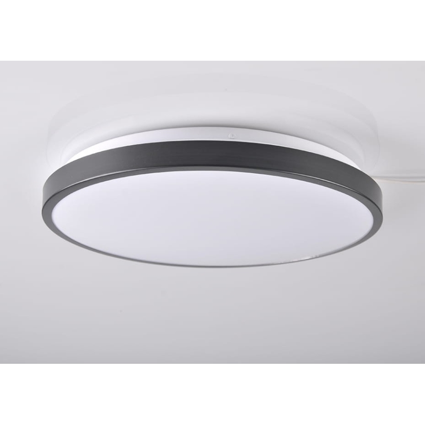 LED Plafon KERN LED/24W/230V czarny