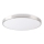 LED Plafon KERN LED/24W/230V nikiel