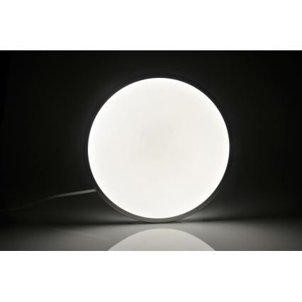 LED Plafon KERN LED/24W/230V nikiel