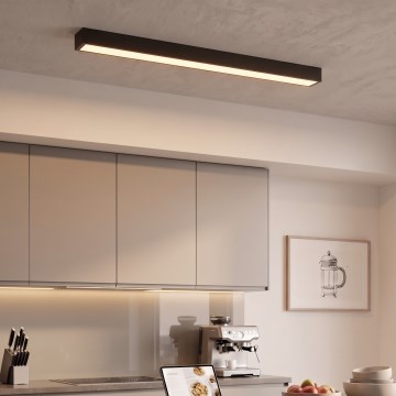 LED plafon/lampa wisząca na lince LED/44W/230V 3000K 120 cm czarny