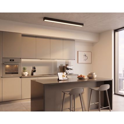 LED plafon/lampa wisząca na lince LED/44W/230V 3000K 120 cm czarny