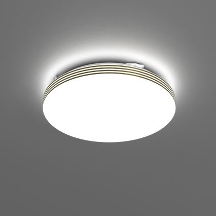 LED Plafon łazienkowy BEVER LED/10W/230V 4000K śr. 26 cm IP44