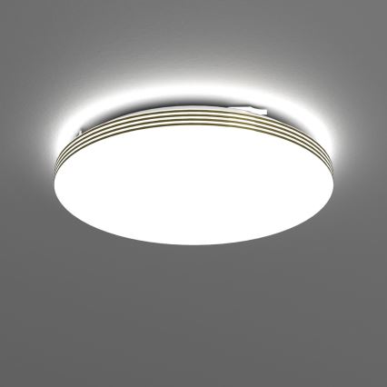 LED Plafon łazienkowy BEVER LED/16W/230V 4000K śr. 33 cm IP44