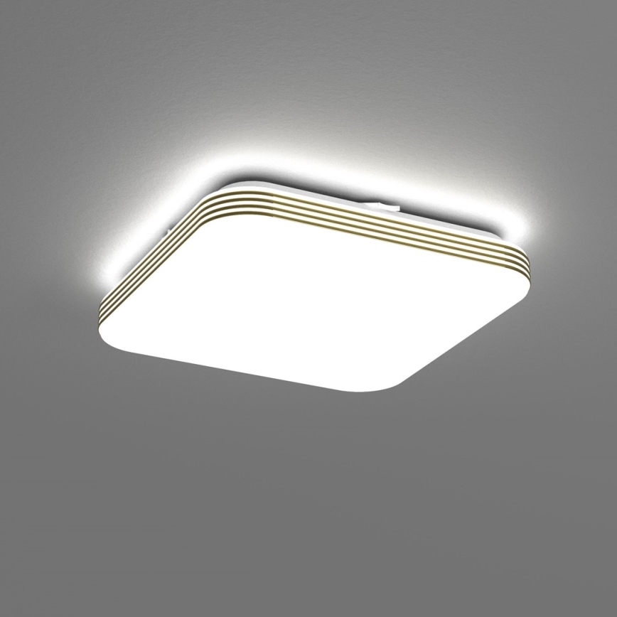 LED Plafon łazienkowy DABAR LED/11W/230V 4000K 26x26 cm IP44