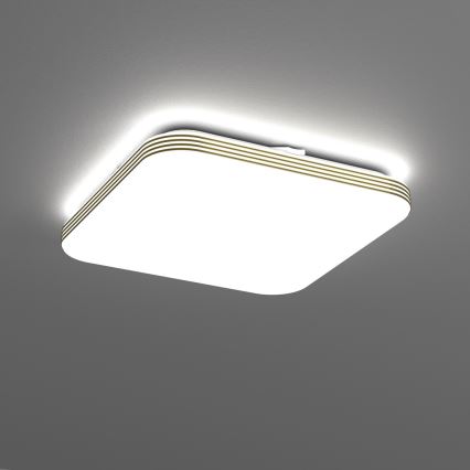 LED Plafon łazienkowy DABAR LED/17W/230V 4000K 33x33 cm IP44