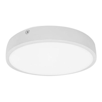 LED Plafon łazienkowy EGON LED/16W/230V IP44 3000K