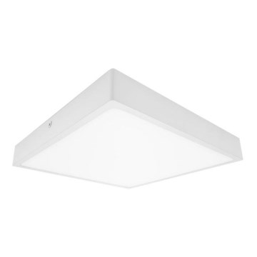 LED Plafon łazienkowy EGON LED/16W/230V IP44 3000K