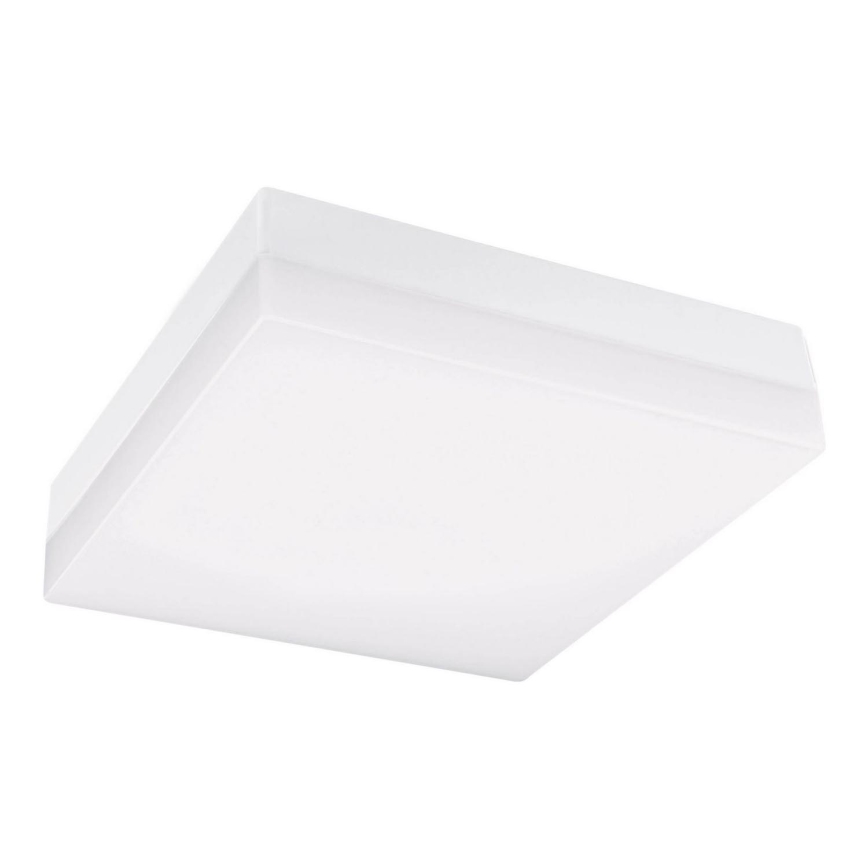 LED Plafon łazienkowy LED/12W/230V 3000/4000/6000K 22x22 cm IP44