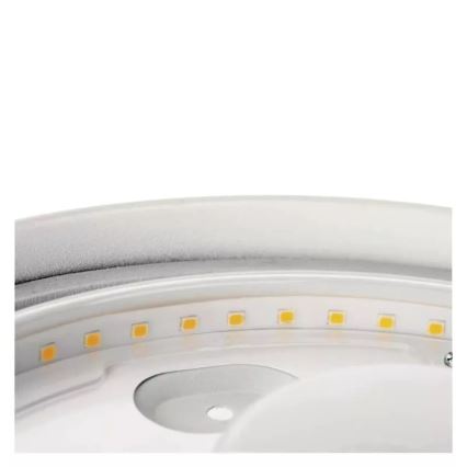 LED Plafon łazienkowy LED/12W/230V IP44