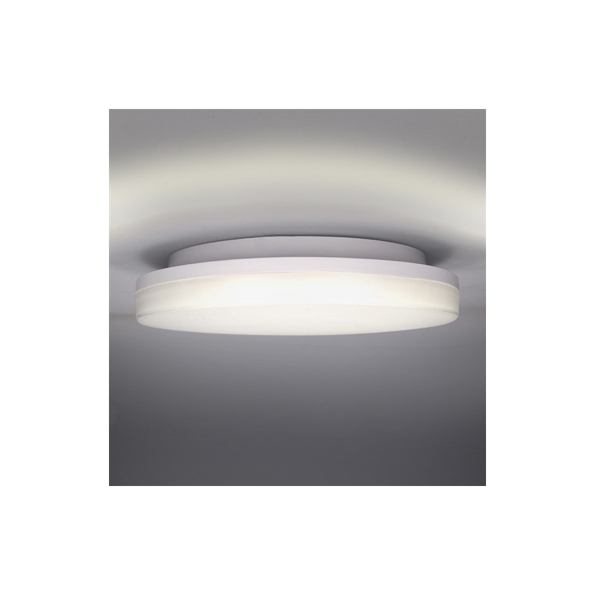 LED Plafon łazienkowy LED/15W/230V IP54