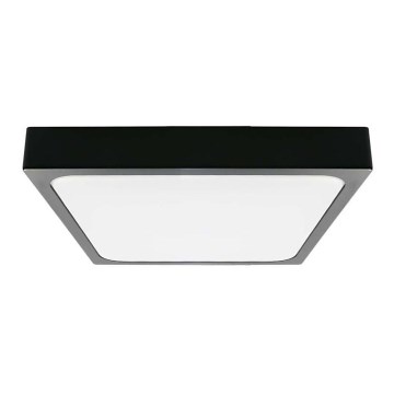LED Plafon łazienkowy LED/18W/230V 4000K IP44 22,5x22,5 cm czarny