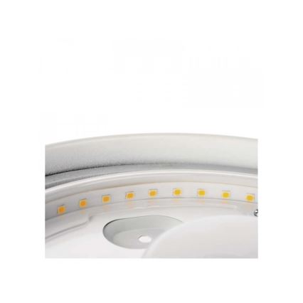 LED Plafon łazienkowy LED/18W/230V IP44