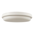 LED Plafon łazienkowy LED/24W/230V 6500K IP54 śr. 24 cm