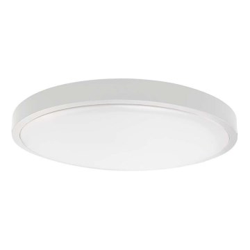 LED Plafon łazienkowy LED/36W/230V 6500K IP44 biały