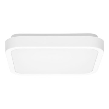 LED Plafon łazienkowy LUKY LED/12W/230V 4000K 25x25 cm IP44 biały