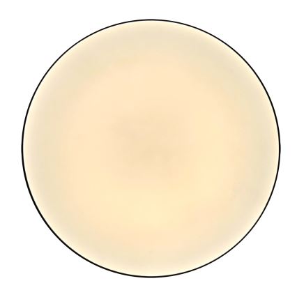 LED Plafon łazienkowy MOON LED/18W/230V chrom błyszczący IP44