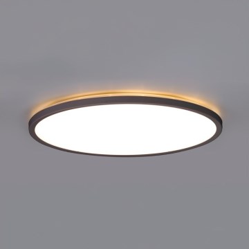 LED Plafon łazienkowy NIVERA LED/12W/230V IP54 3000/4000/6000K śr. 22,5 cm czarny