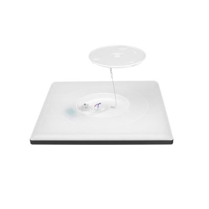 LED Plafon łazienkowy NIVERA LED/24W/230V IP54 3000/4000/6000K 30x30 cm czarny