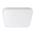 LED Plafon łazienkowy SAMSUNG CHIP LED/24W/230V IP44 6500K 29x29 cm biały