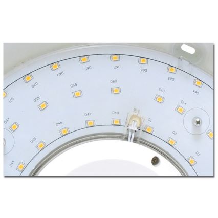 LED Plafon łazienkowy VICTOR LED/25W/230V IP44