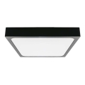 LED Plafon łazienkowy z czujnikiem LED/18W/230V 4000K IP44 22,5x22,5 cm czarny