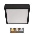 LED Plafon LED/12,5W/230V 17x17 cm czarny